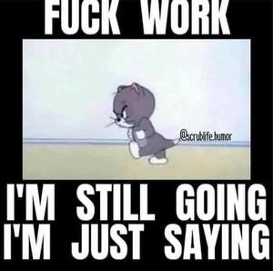 Meet your Posher, Jay